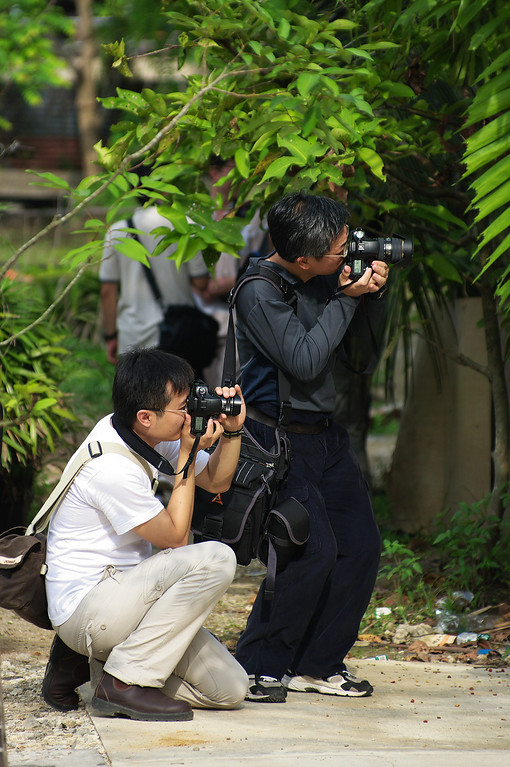 495629782_2KYDA-XL.jpg