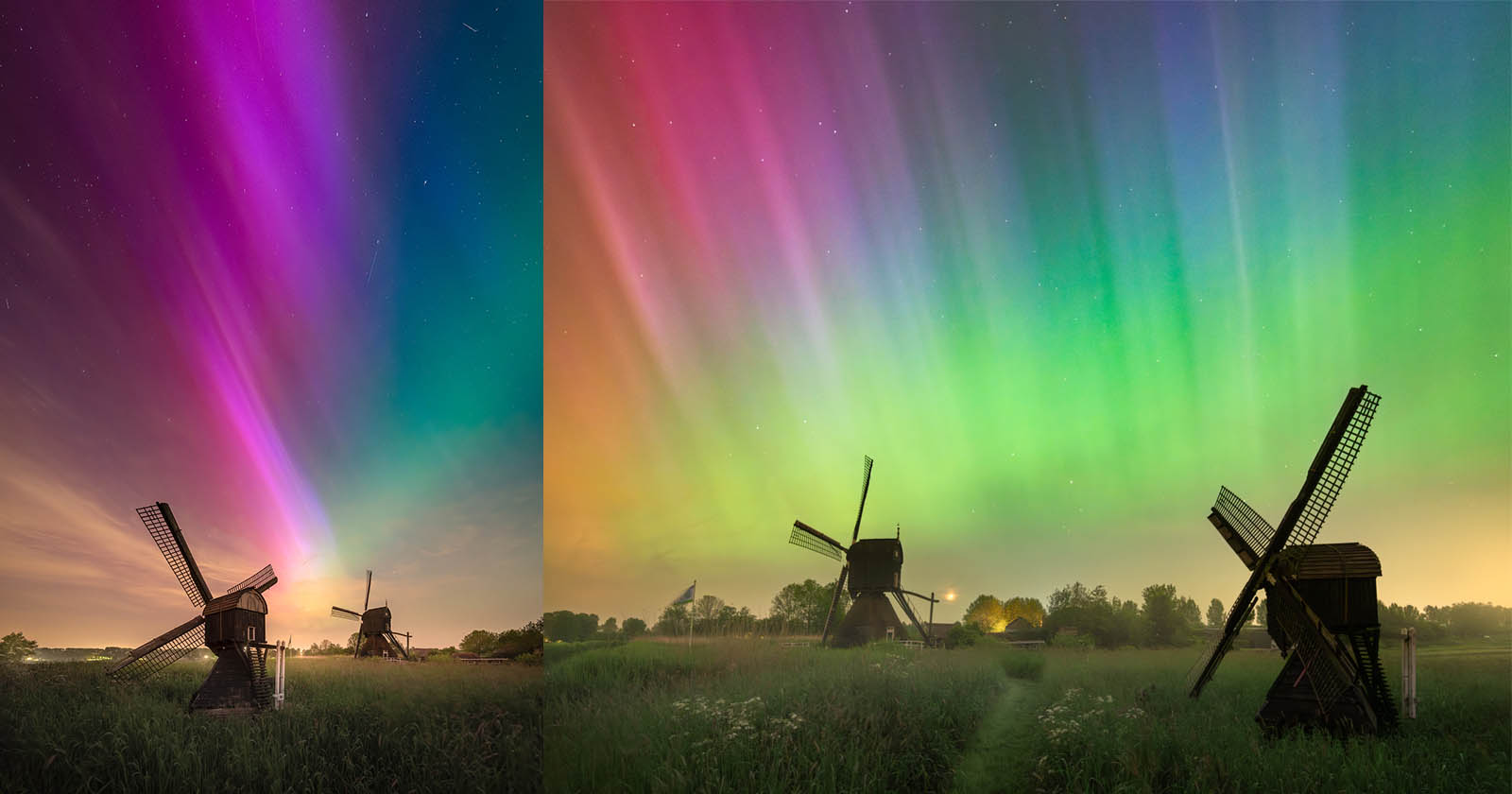 A panoramic view of traditional windmills on a meadow during nighttime, beautifully illuminated by colorful aurora borealis stretching across the sky in pink, green, and purple hues.