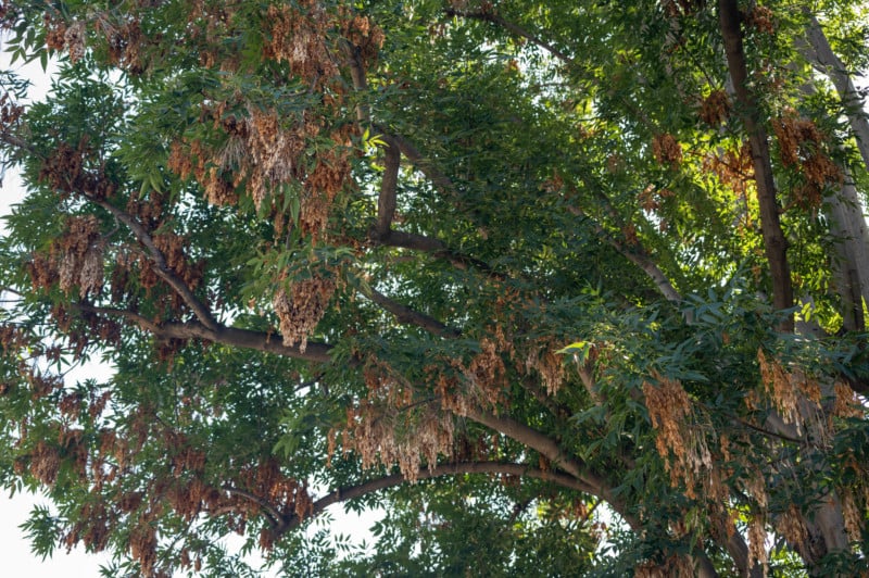 DJC_9891-800x532.jpg