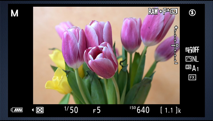 How Good Is the New Nikon D780?