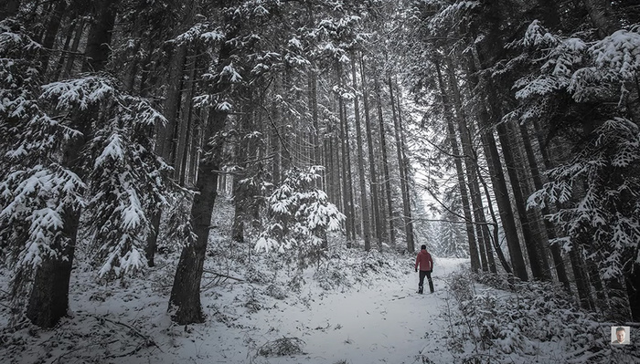 Helpful Tips for Landscape Photography in Winter