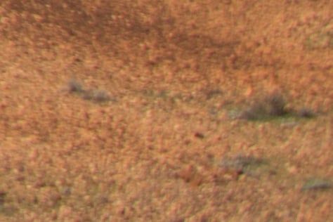 Edge__E071307.jpg