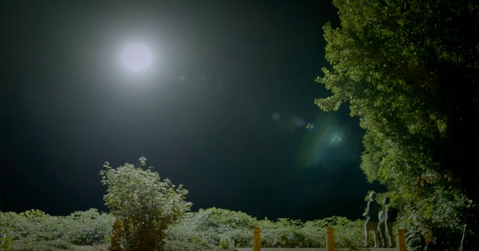 Two people stand near a large tree under a bright full moon. The landscape around them is lush with shrubs, and the night sky is clear. The moonlight illuminates the scene, casting subtle shadows.