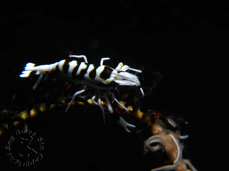 IMG_6535-Edit.jpg