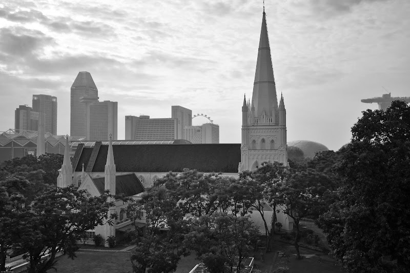 DSC_1001.jpg