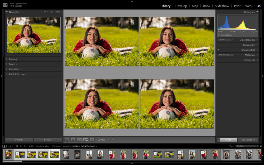 croppresets-03-1024x640.jpg