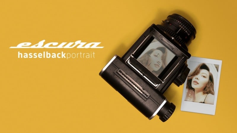 filmfeat-800x450.jpg