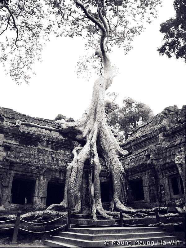 PA163116_bw.jpg