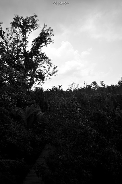 5690449610_c14df57bb9_z.jpg