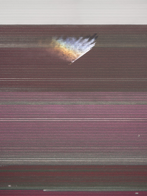 20156_Kevin-Krautgartner_In-Full-Bloom-600x800.jpg