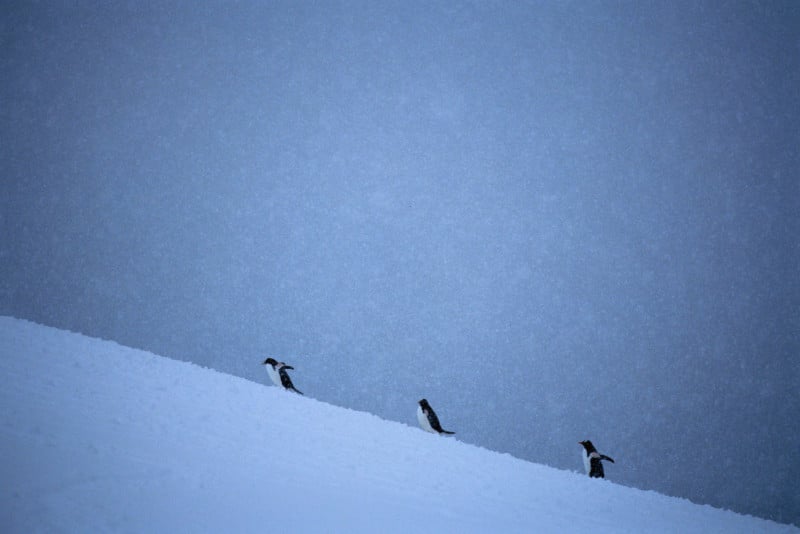 Antarctica_35_E100_19_sRGB-800x534.jpg