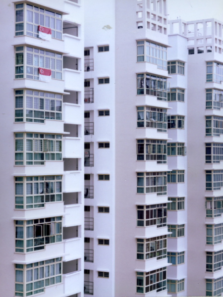 lf001.jpg