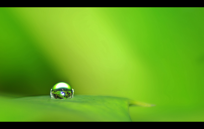3542174832_f5287332b4_o.jpg