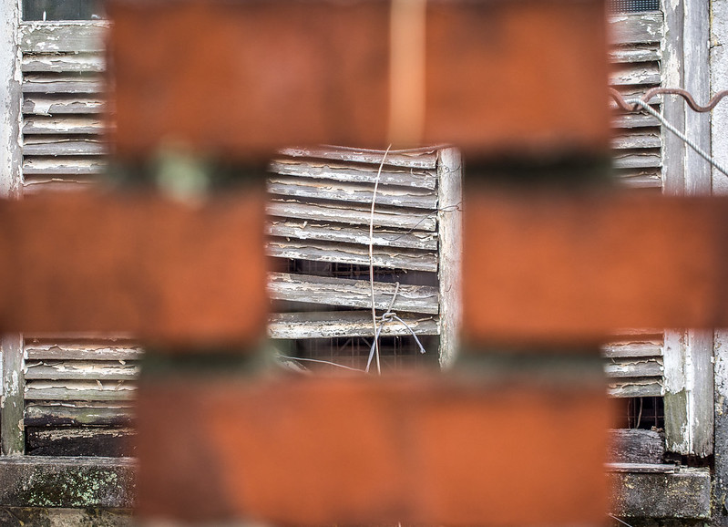 11251052494_cf02d13159_c.jpg
