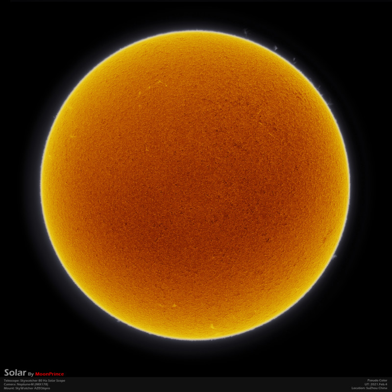 SUN20210204-s-1-800x800.jpeg