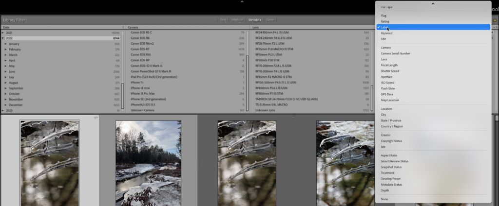 lookbackilters-03-1024x424.jpg