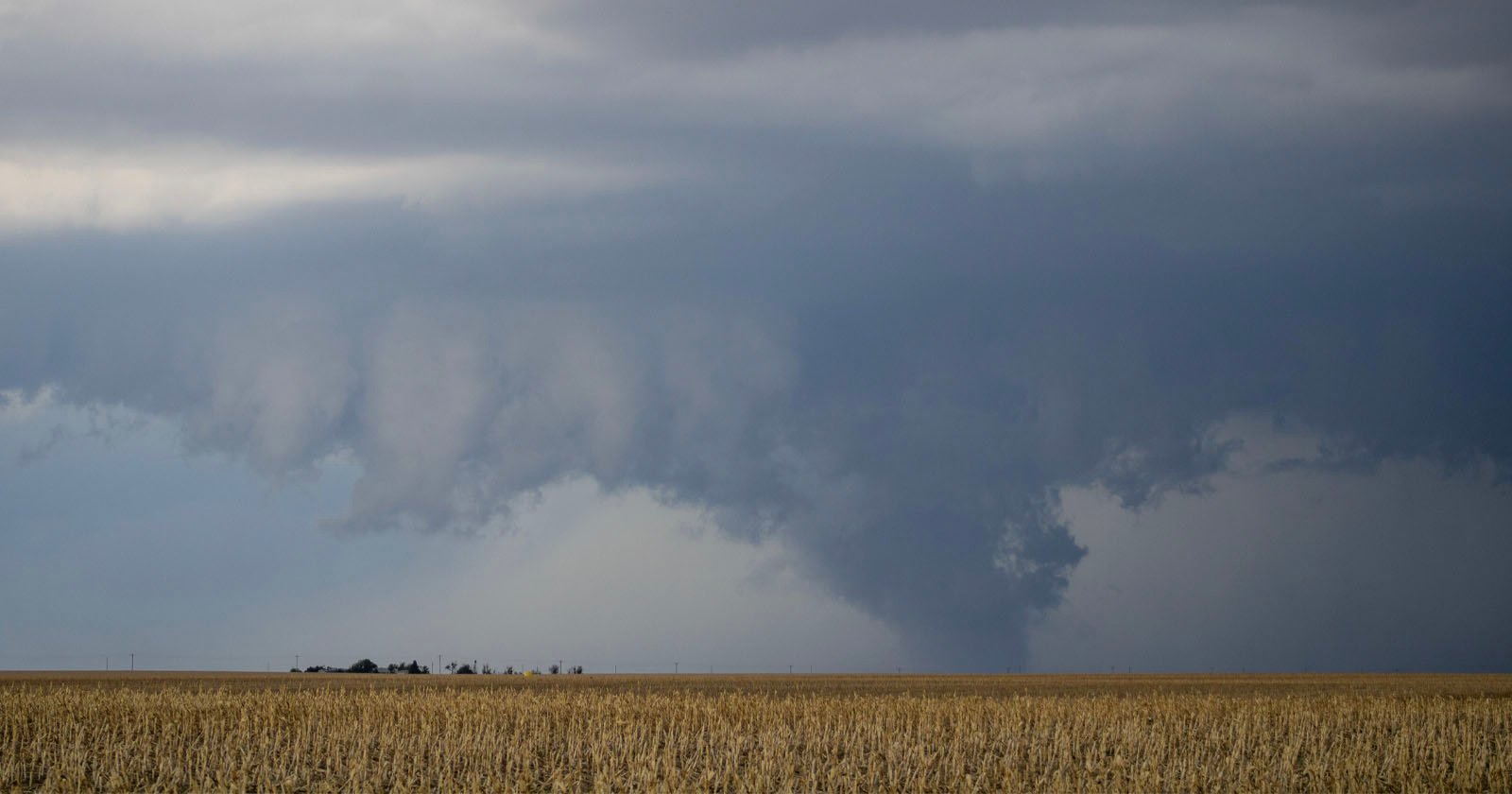 A vast, dry cornfield under a stormy sky with dark, swirling clouds, suggesting an impending storm. A distant rural horizon is visible beneath the ominous clouds.