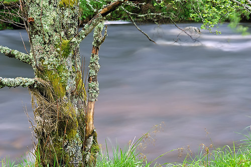 4707551562_97b050c0bc.jpg