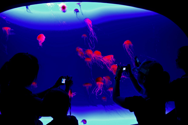 643700908_592a76f666_o.jpg