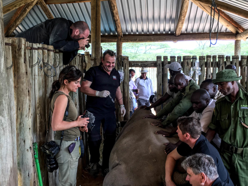 justin-mott-northern-white-rhino-1-800x600.jpg