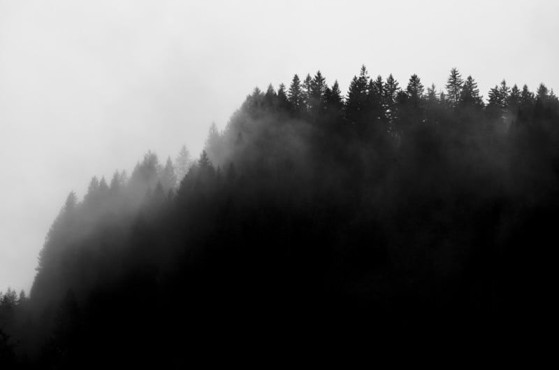 L1000574-800x529.jpg