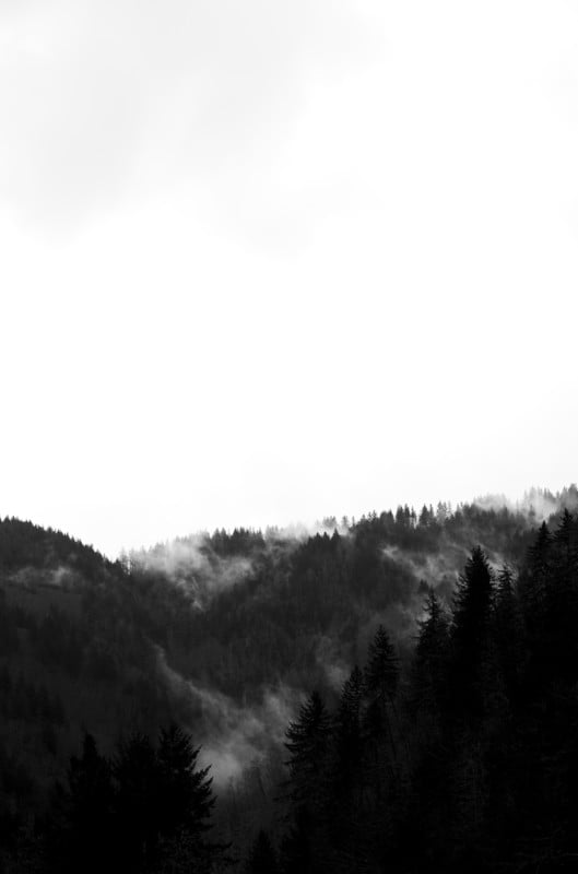 L1000620-529x800.jpg