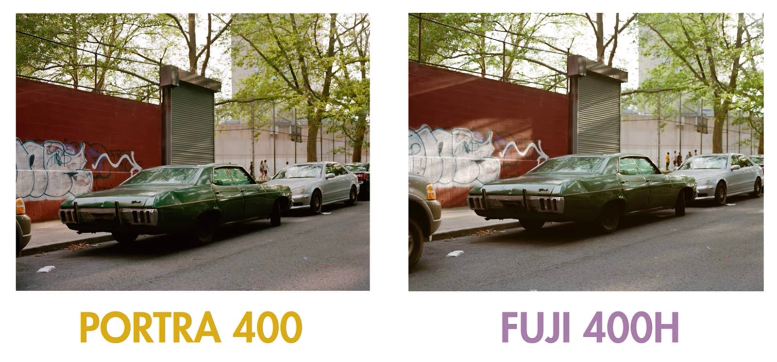 fujikodak.jpg