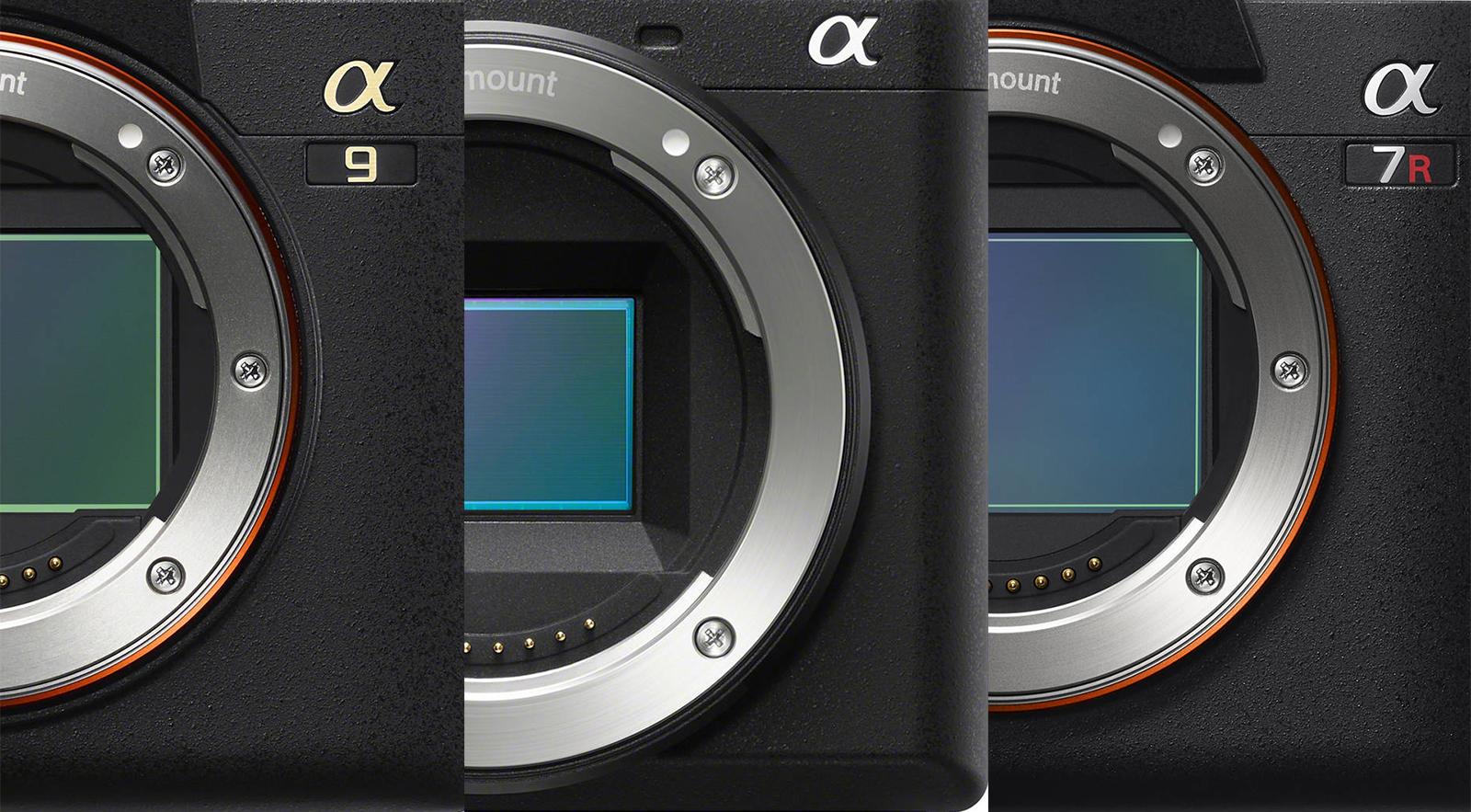 sony-flagship-cameras-2019.jpg