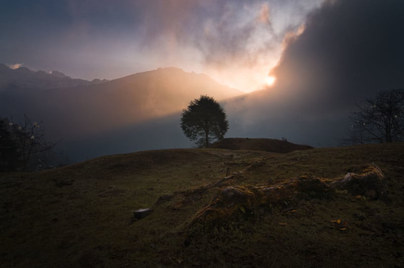 GOLDEN-HOUR-800x532.jpg