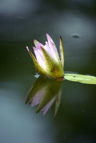 DSC_0020_small.jpg