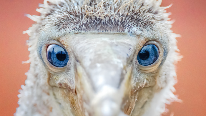 11 Ways to Improve the Sharpness of Your Images (Part 4)