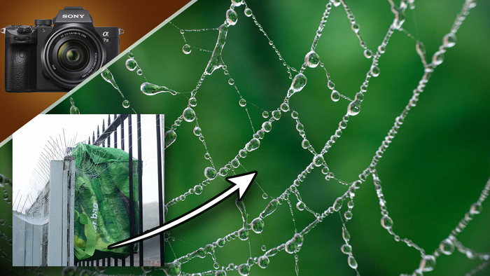 Use Trash To Make DIY Backgrounds for Macro Photographs