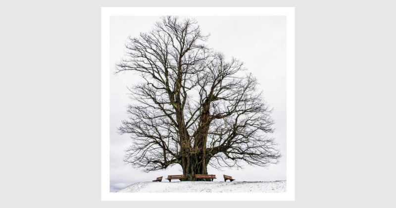 squareformat-800x420.jpg