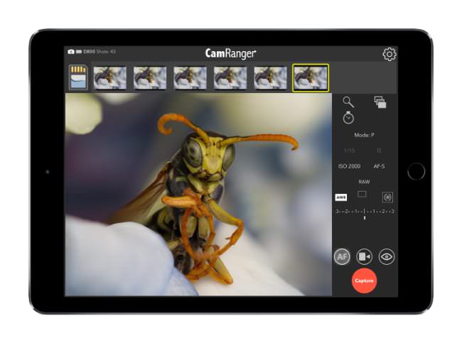 iPad_Hornet_Landscape.jpg