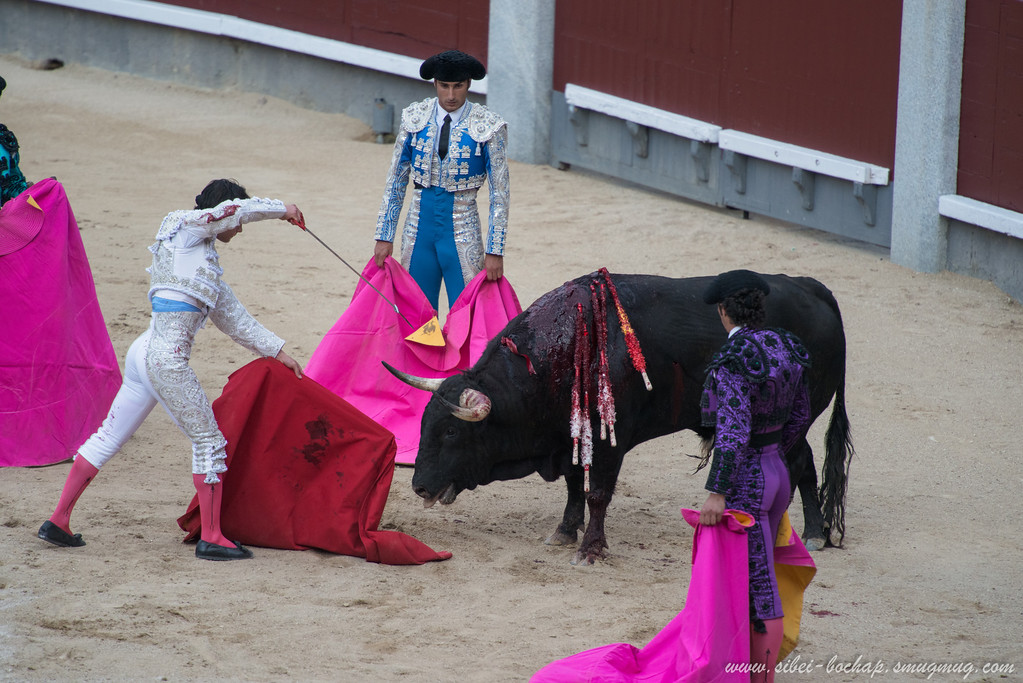 DSC8309-XL.jpg
