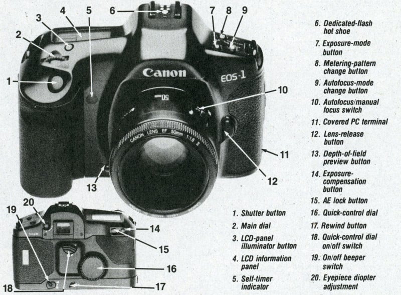 top-image-1-800x590.jpg