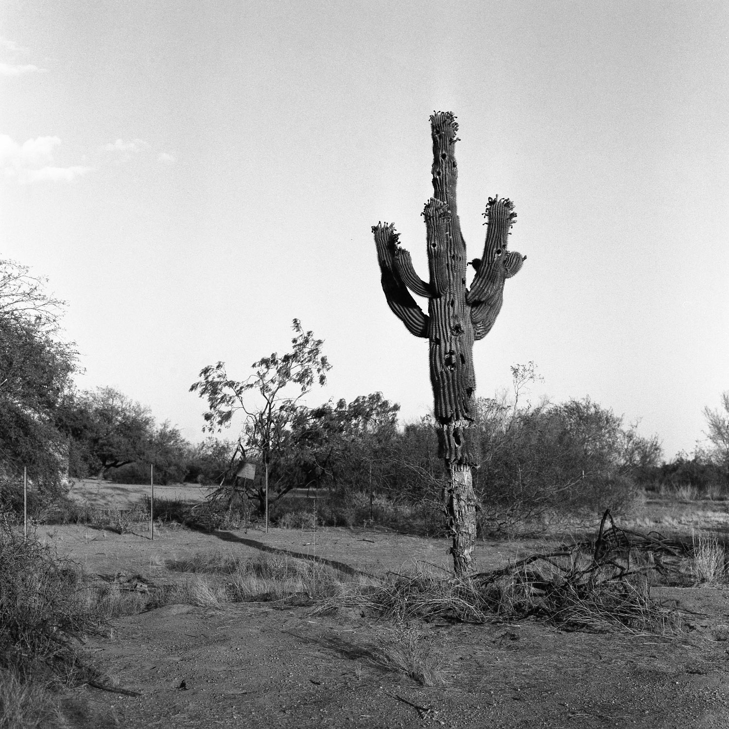 Img008-1.jpg