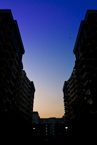 3472779993_243a1ed9b3.jpg