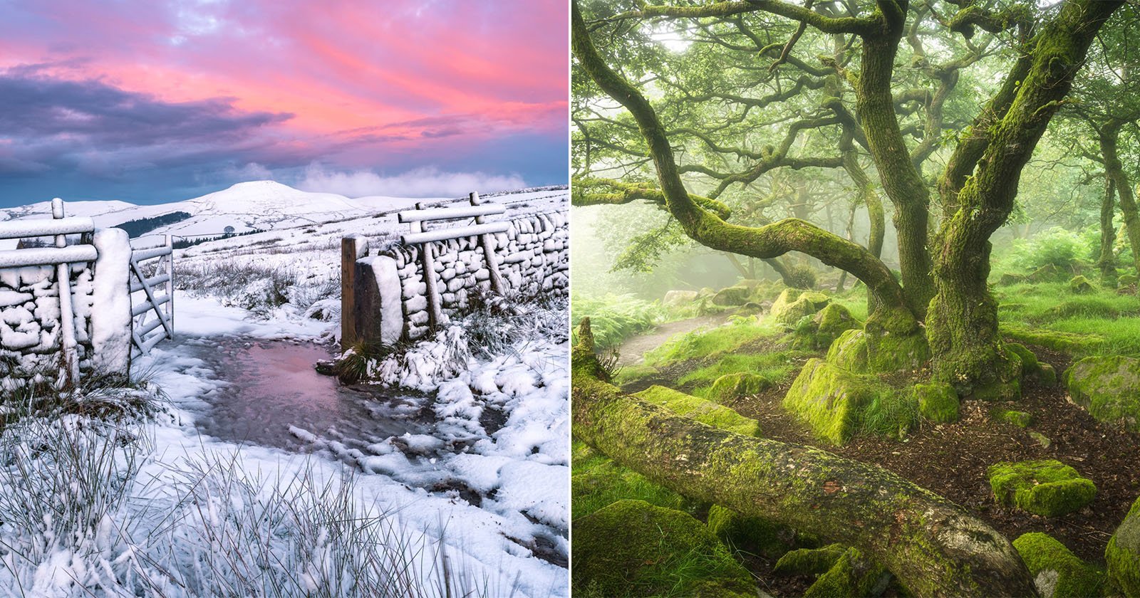 Left side: A snow-covered landscape with a wooden gate leading to a snowy field under a pink and blue sky. Right side: A lush, green forest with moss-covered rocks and a large, gnarled tree surrounded by mist.