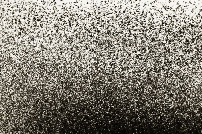 BLACK-SUN-5-800x533.jpg
