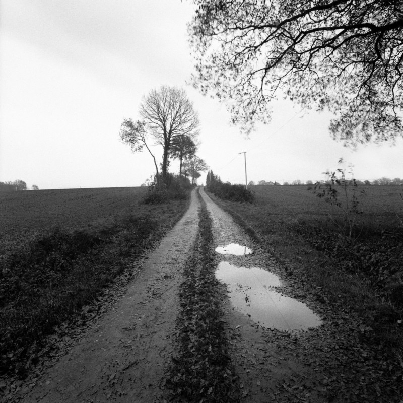 UV-film-photography-Pierre-Louis-Ferrer-6-800x800.jpg