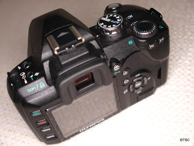 PA102352.JPG