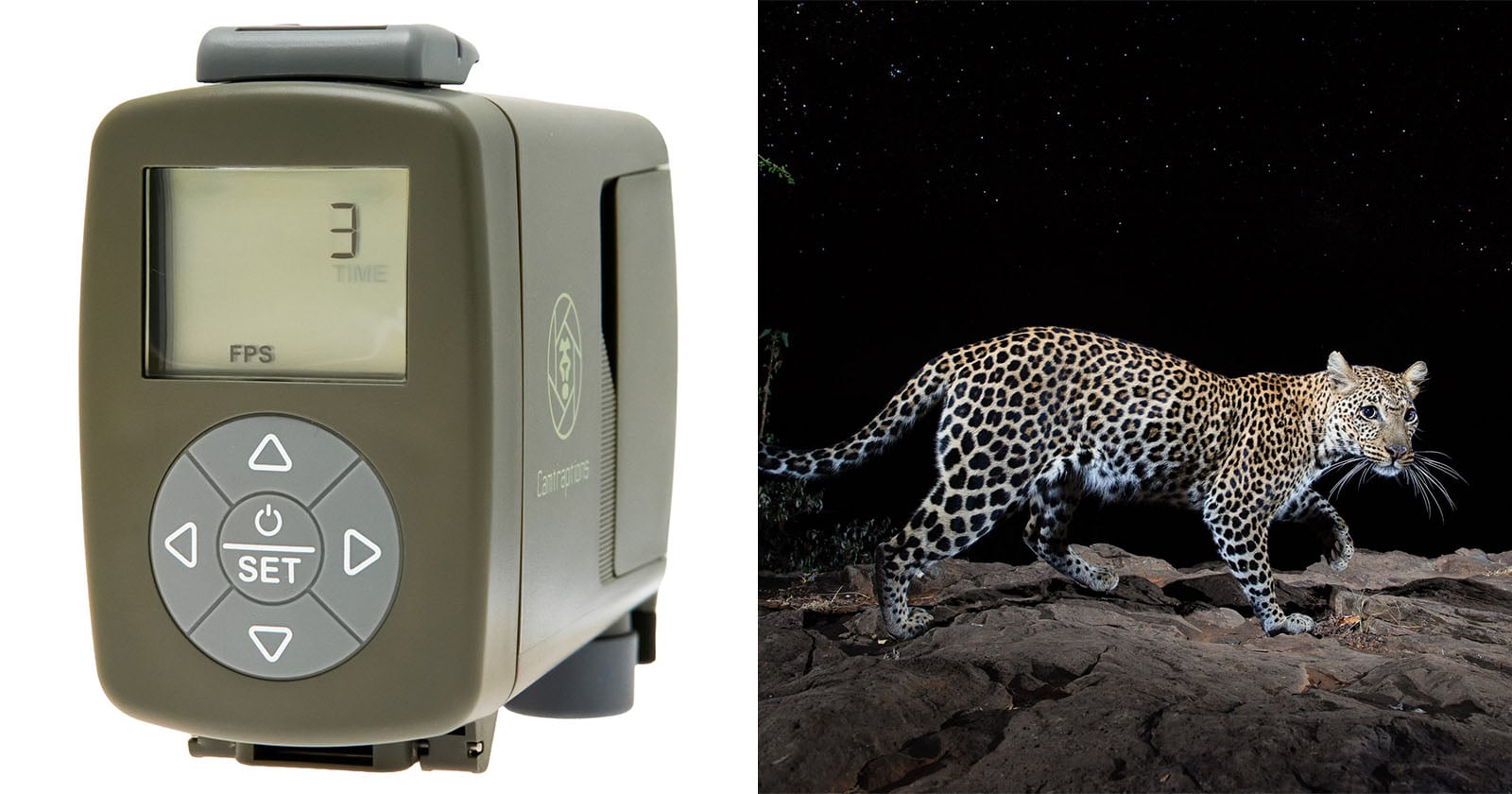 On the left, a close-up of an electronic timer device with a display screen and circular control buttons. On the right, a leopard walks on rocky ground at night under a starry sky.