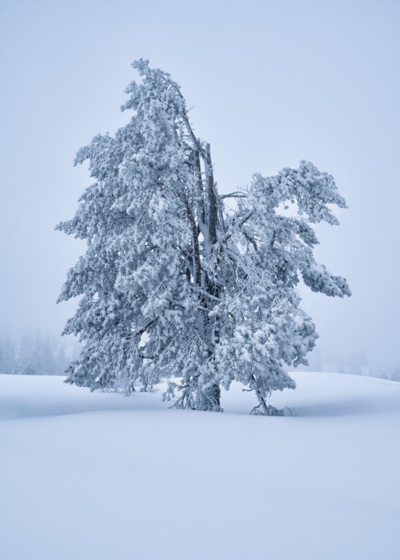 Christian-Hoiberg-Winter-Portraits-7-571x800.jpg