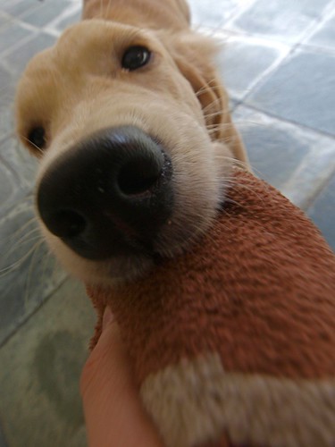 2324736060_727c2fb83e.jpg