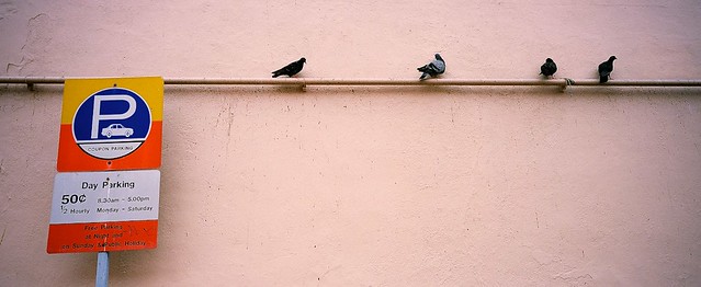 5460428227_5c257935f5_z.jpg