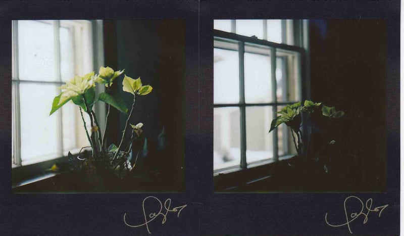 Mario_s-Instax-Zone-shot-1-800x467.jpg