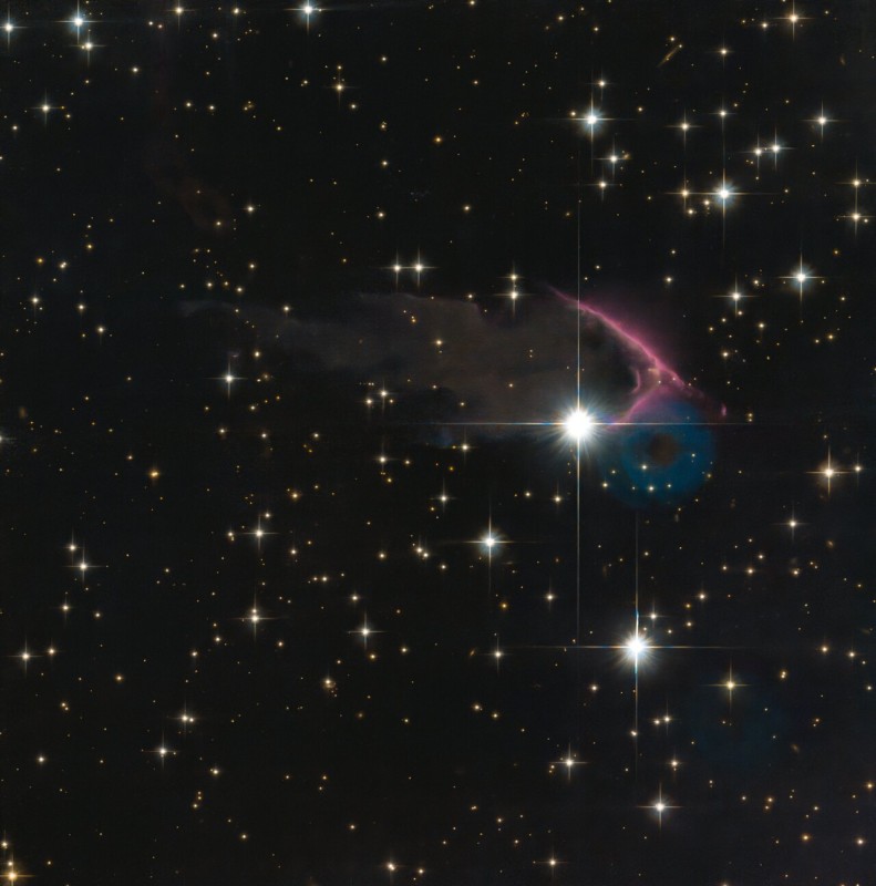 A-frEGGs-cellent-Discovery-791x800.jpg