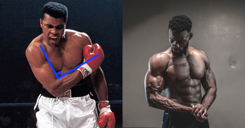 comparison-800x420.jpg