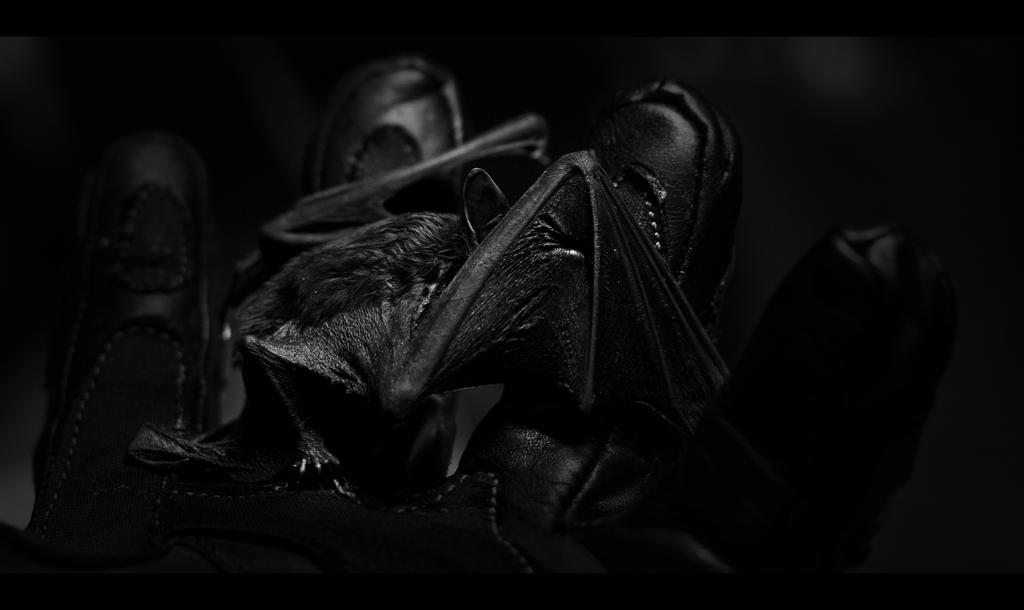 GARGOYLE_by_Draken413o.jpg
